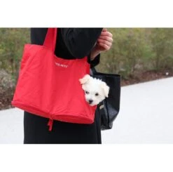 Sac De Poche Pour Petit Chien Lazy Dog -Hariet & Rosie 0010 img 1566.w 1600 force 1