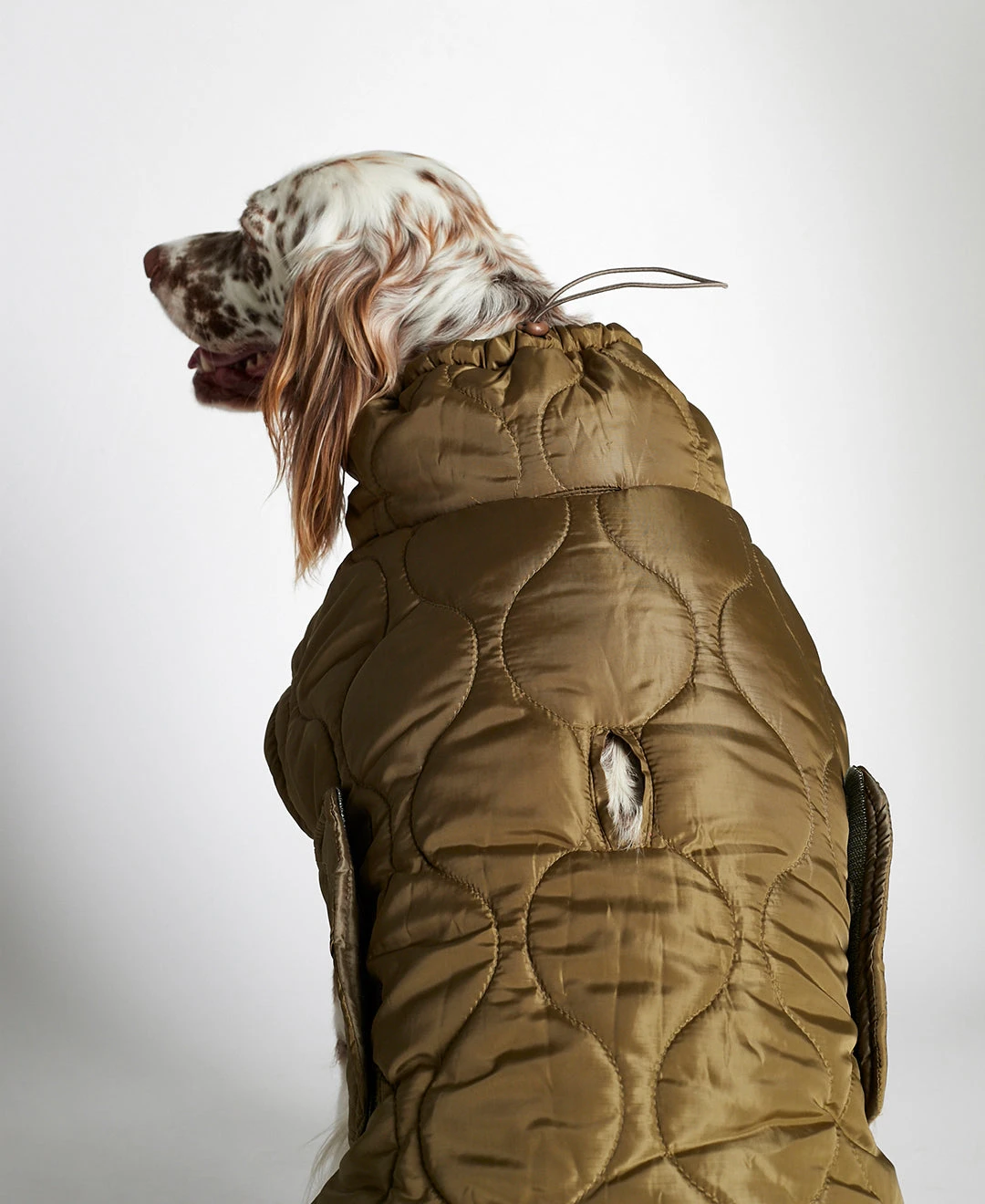 Doudoune Très Chaude Pour Chien 4 Doudoune Très Chaude Pour Chien – Image 4