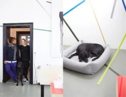 Panier Pour Chien Tweed Gris Clair Sleepy Deluxe 9 Panier Pour Chien Tweed Gris Clair Sleepy Deluxe -Hariet & Rosie 14 Julia Ali Mogli Cloud7 Dog Bed Sleepy Deluxe