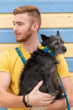 Noeud Papillon Pour Chien Shuka Blue 7 Noeud Papillon Pour Chien Shuka Blue -Hariet & Rosie 190517 Hiro Wolf Dumpton Gap May 19 0467 622x932 cf9d41d6 fee3 49b4 9bd2 1990451ae7ae