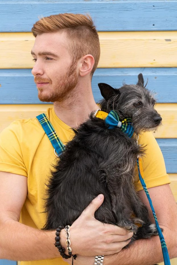 Noeud Papillon Pour Chien Shuka Blue 4 Noeud Papillon Pour Chien Shuka Blue – Image 4