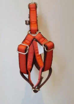 Harnais Parachute Uni Rouge Strawberry -Hariet & Rosie 20180223 120446 Copie