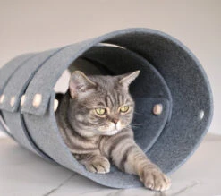Tunnel Pour Chat FuzzPlay -Hariet & Rosie 22CE8696 3B1A 47CC B879 EFE0C584EAFC 280 000000505EC5D727Kopie 900x 7e40a57c 7090 479a ab5d 50e6cb170921