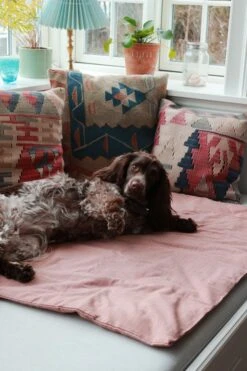 Duvet Pour Chien En Coton Bio -Hariet & Rosie 2388073 47d67708dc17e3