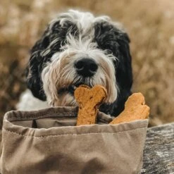 Bol De Voyage Pour Chien Pliable Melo Band & Roll 16 Bol De Voyage Pour Chien Pliable Melo Band & Roll -Hariet & Rosie 244670726 2962370393975649 4449451581056655728 n