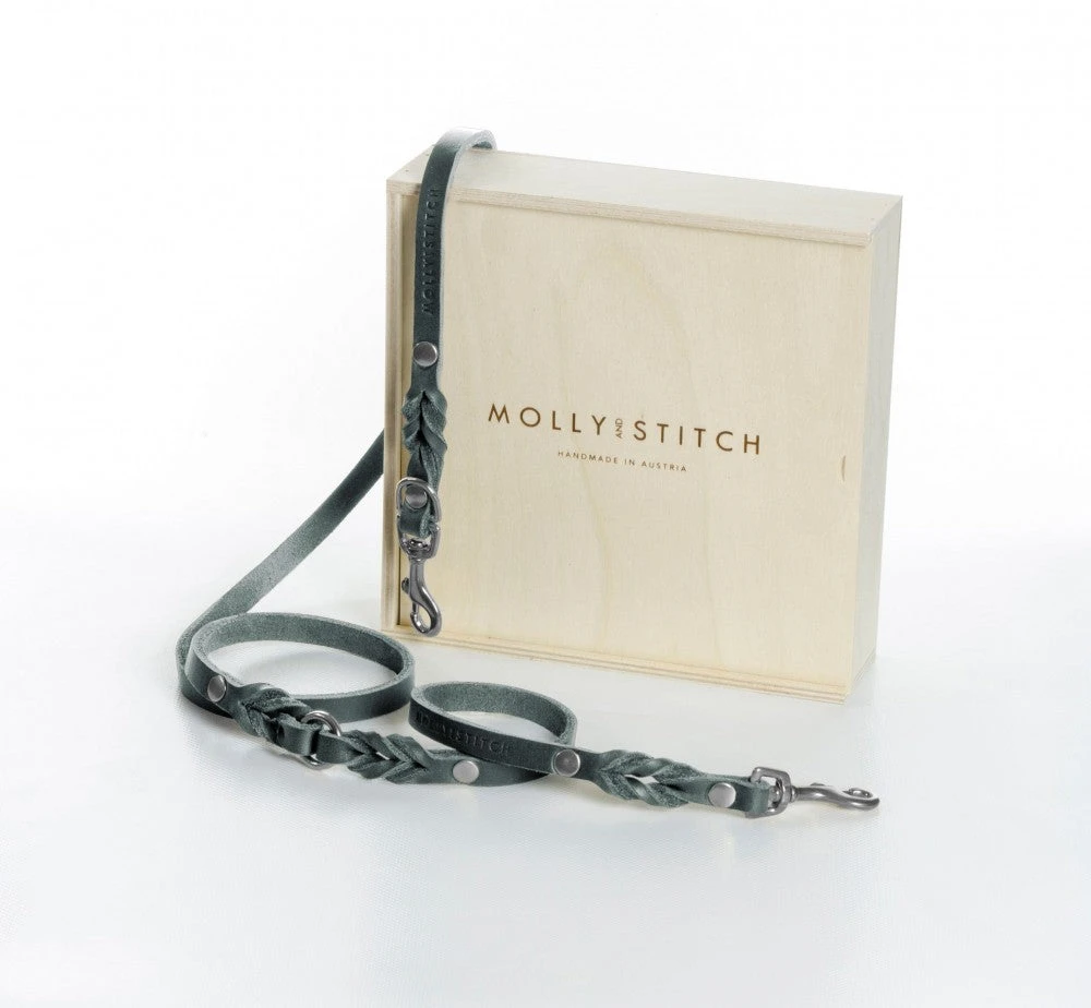 Laisse En Cuir Pour Chien Souple Réglable (2x) 12 Laisse En Cuir Pour Chien Souple Réglable (2x) – Image 12