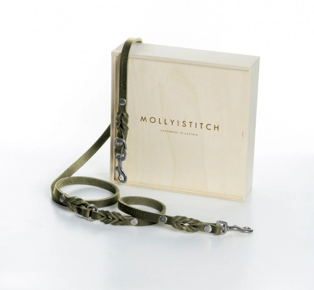 Laisse En Cuir Pour Chien Souple Réglable (2x) 8 Laisse En Cuir Pour Chien Souple Réglable (2x) – Image 8