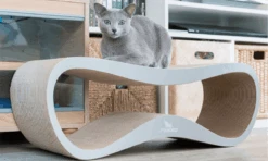 Griffoir Pour Chat Design LUI My Kotty -Hariet & Rosie 3 lui grey banner min