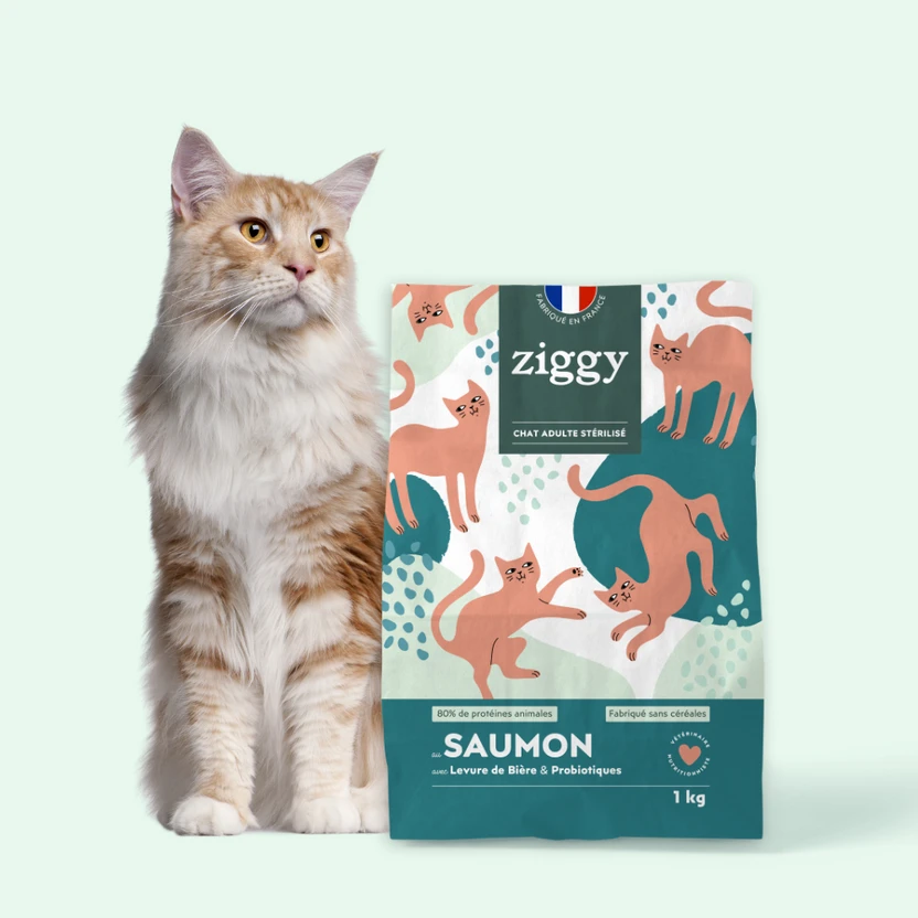 Croquettes Chat Stérilisé Sans Céréales Au Saumon 2 Croquettes Chat Stérilisé Sans Céréales Au Saumon – Image 2