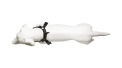 Harnais De Running Pour Chien -Hariet & Rosie 9 720x 2087cd03 3f6e 45b5 afb2 f2ecd4872910