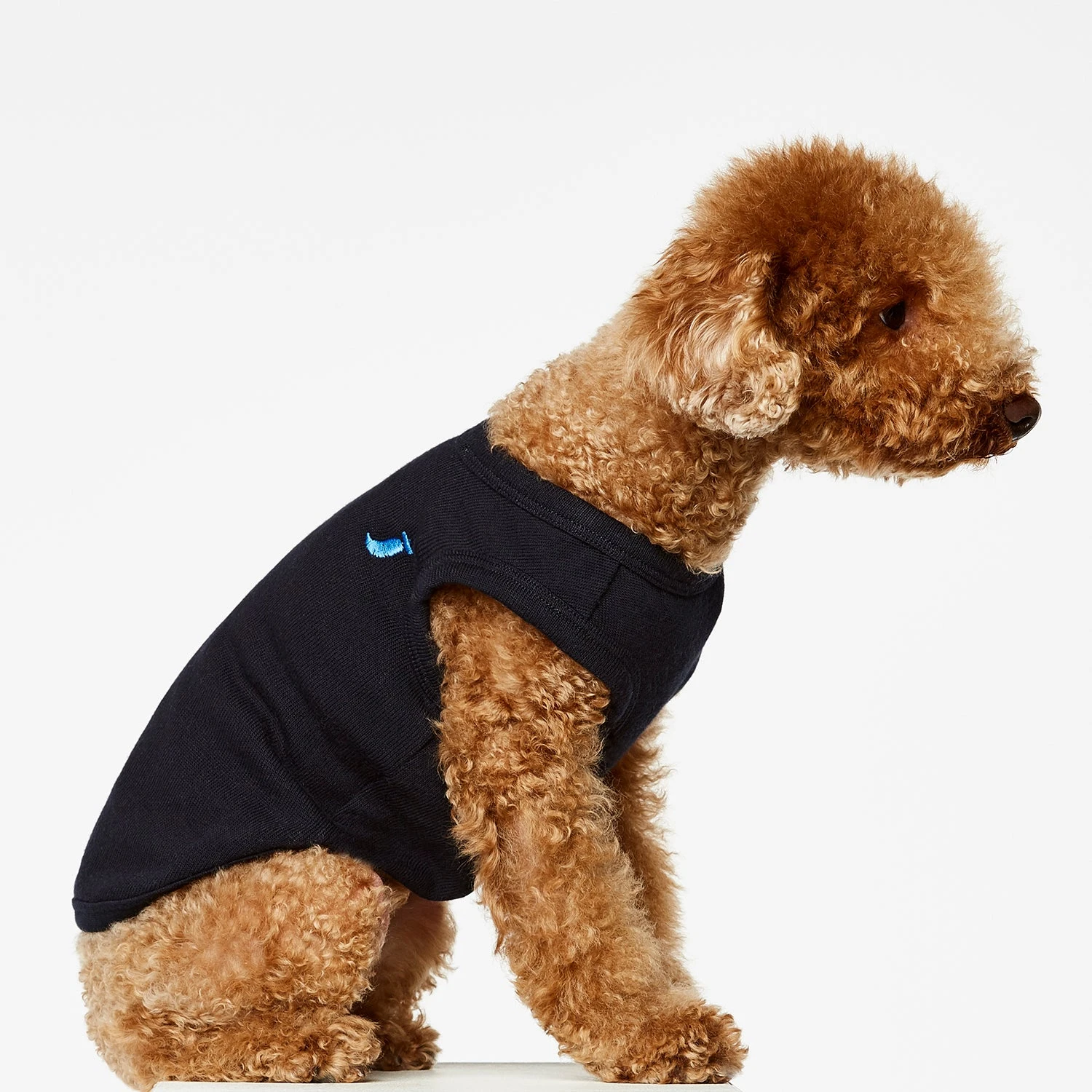 Body Pour Chien Josef 2 Body Pour Chien Josef – Image 2