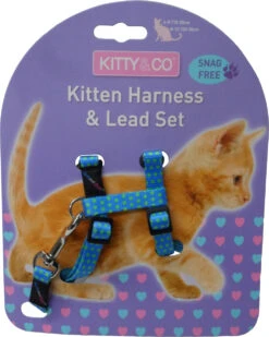 Harnais Et Laisse à Pois Pour Chaton -Hariet & Rosie CH4202 Spotty Blue Kitten Harness LR