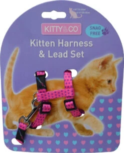 Harnais Et Laisse à Pois Pour Chaton -Hariet & Rosie CH4202 Spotty Pink Kitten Harness LR