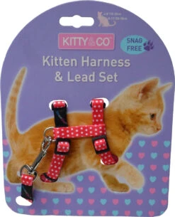 Harnais Et Laisse à Pois Pour Chaton -Hariet & Rosie CH4202 Spotty Red Kitten Harness LR 1