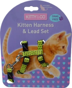 Harnais Et Laisse à Pois Pour Chaton -Hariet & Rosie CH4202 Spotty Yellow Kitten Harness LR