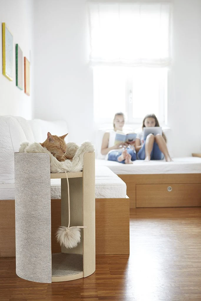 Coussin Pour Chat Pour Arbre à Chat Torre 4 Coussin Pour Chat Pour Arbre à Chat Torre – Image 4