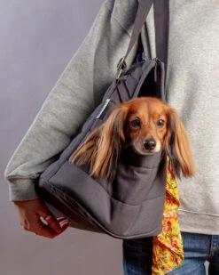 Sac De Transport Pour Chien (max 15kg) 17 Sac De Transport Pour Chien (max 15kg) -Hariet & Rosie Dog Co 1C5A2503 1024x1024 ec76c171 e2f0 4f46 aef7 454befbacd88