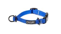 Collier Pour Chien Souple Everyday (3 Couleurs) -Hariet & Rosie EverydayCollar Blue XS 900x 5d1fc4cd 2695 419c 81e3 42adef634964