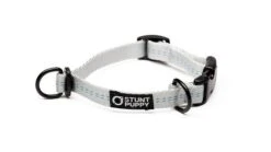 Collier Pour Chien Souple Everyday (3 Couleurs) -Hariet & Rosie EverydayCollar Silver XS 720x f3ef4b43 6dd4 4de0 b148 98f18edc719e