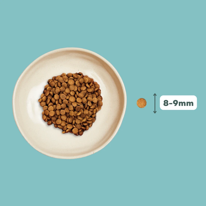 Croquettes Chat Stérilisé Sans Céréales Au Saumon 3 Croquettes Chat Stérilisé Sans Céréales Au Saumon – Image 3