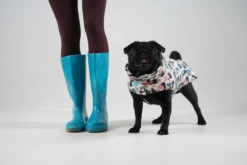 Manteau Pour Petit Chien -Hariet & Rosie GetAttachmentThumbnail d554b13a bc53 4bb6 8dcf 4eaef44db8c7