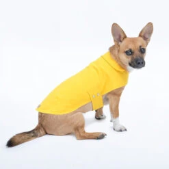 Imperméable Pour Petit Chien Microfibres -Hariet & Rosie Jolie Dog Arthur yellow1 grande 69966b65 6e70 4b5e 99b8 68053ddf003b