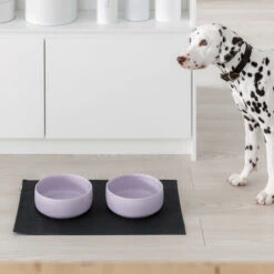 Bol Pour Chien Design Nordique Ole Hyvä -Hariet & Rosie Kind for Dogs Ole hyv dog bowl lavender