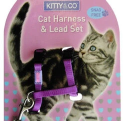 Harnais Et Laisse Couleur Unie Pour Chat -Hariet & Rosie Kitty and Co Snag Free Purple Cat Harness Lead Set 510x500 1