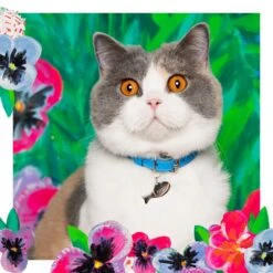 Collier Pour Chat En Cuir Louis Wain -Hariet & Rosie LouisWain CheshireAndWain RachelOates 10 4 1800x1800 d26c10b4 cce6 44d7 bfe7 84f194f80005