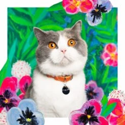 Collier Pour Chat En Cuir Louis Wain -Hariet & Rosie LouisWain CheshireAndWain RachelOates 1 1800x1800 a2d4ae44 0004 4ed1 a84a 78cbf8235b24