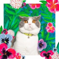 Collier Pour Chat En Cuir Louis Wain -Hariet & Rosie LouisWain CheshireAndWain RachelOates Green Cat Collar 1800x1800 5e935efb caa2 4d8e bba9 d3451f03f747