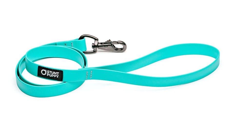 Laisse Biothane Imperméable (5 Couleurs) 3 Laisse Biothane Imperméable (5 Couleurs) – Image 3