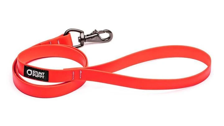 Laisse Biothane Imperméable (5 Couleurs) 5 Laisse Biothane Imperméable (5 Couleurs) – Image 5