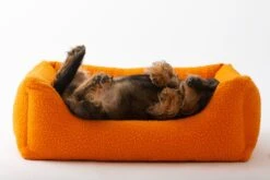 Panier Henri En Laine Casentino Duepuntootto 14 Panier Henri En Laine Casentino Duepuntootto -Hariet & Rosie MG 8704