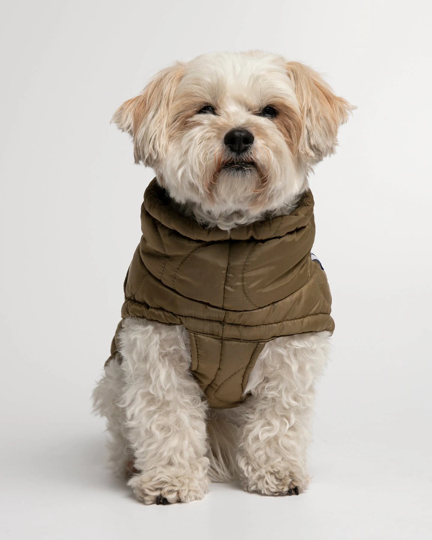 Doudoune Très Chaude Pour Chien 5 Doudoune Très Chaude Pour Chien – Image 5