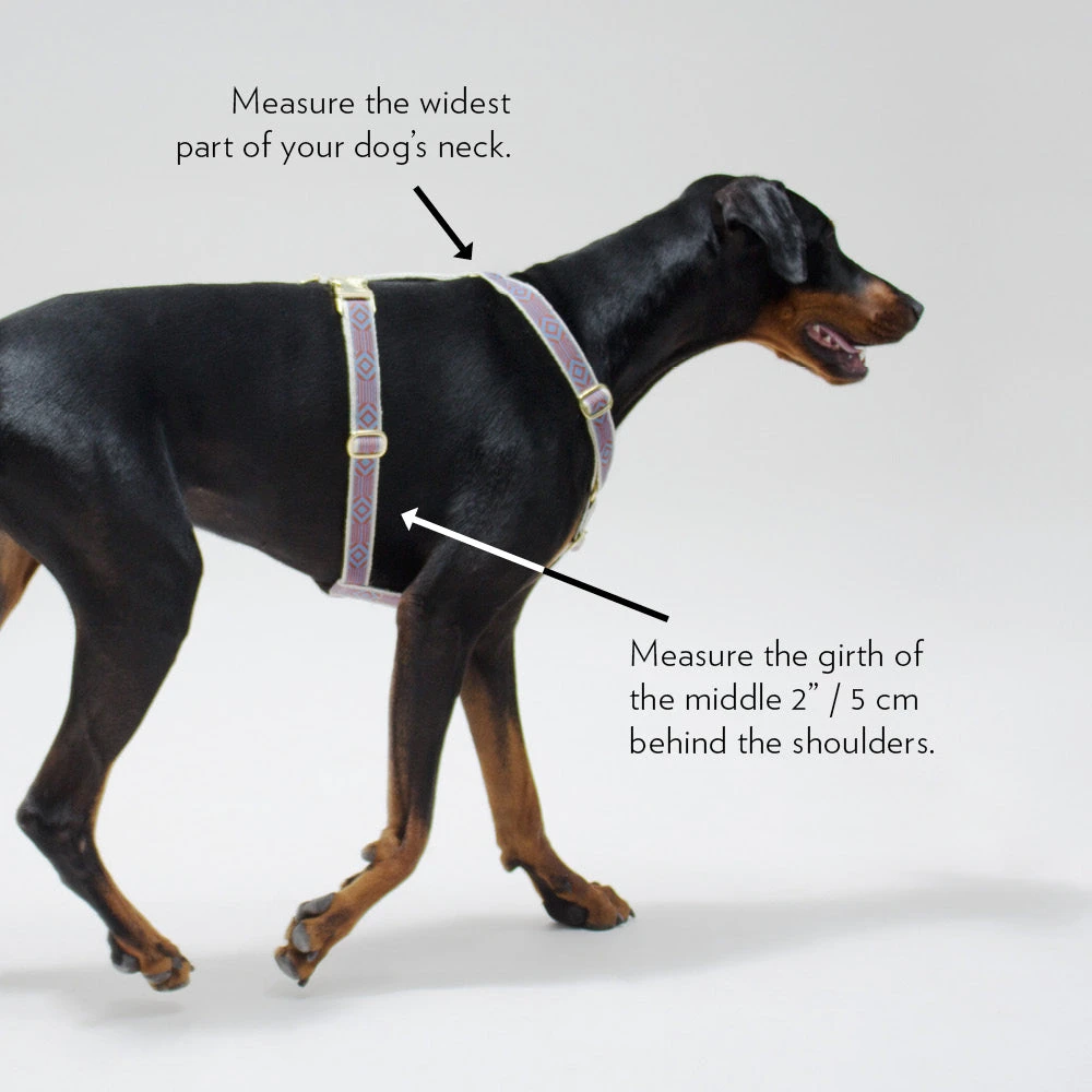 Harnais Chef L’Bark See Scout Sleep 2 Harnais Chef L’Bark See Scout Sleep – Image 2