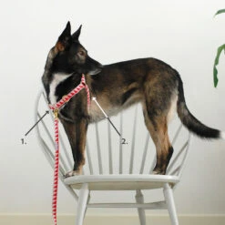 Harnais Anti-traction GOODWALK -Hariet & Rosie MeasureGuide NonpullHarness