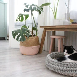 Panier Pour Chat Nido 10 Panier Pour Chat Nido -Hariet & Rosie Miacara Nido 5