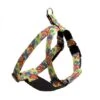 Harnais Pour Chien Over The Rainbow
