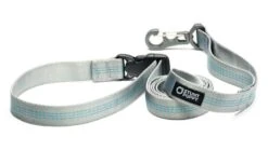 Laisse Souple Everyday (3 Couleurs) 13 Laisse Souple Everyday (3 Couleurs) -Hariet & Rosie SP Leashes Large Silver 900x d4ccfeed 57c6 441c a8f2 fdf31e8d91d3