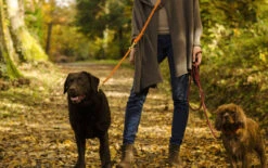 Laisse Pour Chien En Corde Réglable (11 Couleurs) -Hariet & Rosie Sans titre