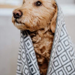 Serviette Absorbante Linaa 5 Serviette Absorbante Linaa -Hariet & Rosie Soft bamboo fabric dog towel 5 600x600 1