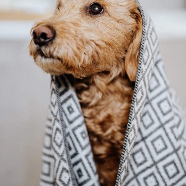 Serviette Absorbante Linaa 3 Serviette Absorbante Linaa – Image 3