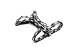 Harnais Pour Chien En H Cadi