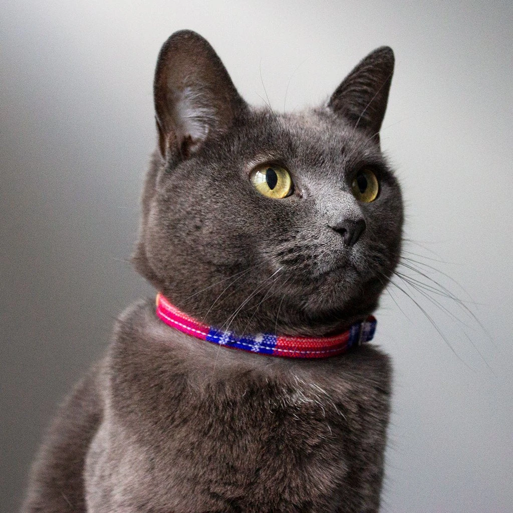 Collier Pour Chat Shuka Red Tartan 2 Collier Pour Chat Shuka Red Tartan – Image 2