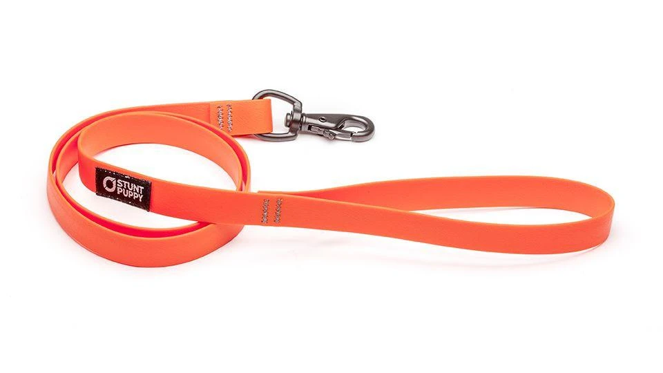 Laisse Biothane Imperméable (5 Couleurs) 2 Laisse Biothane Imperméable (5 Couleurs) – Image 2