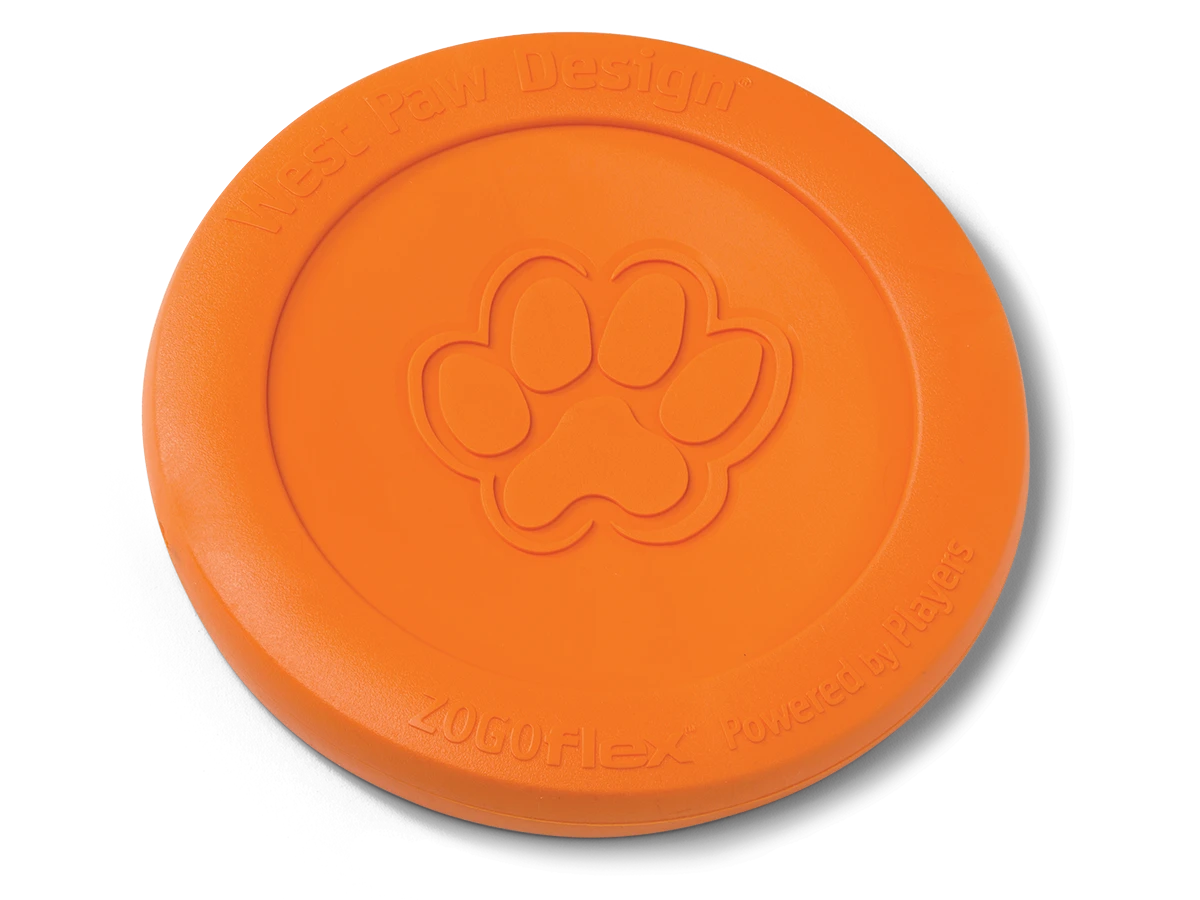 Frisbee Pour Chien Zisc® 1 Frisbee Pour Chien Zisc®