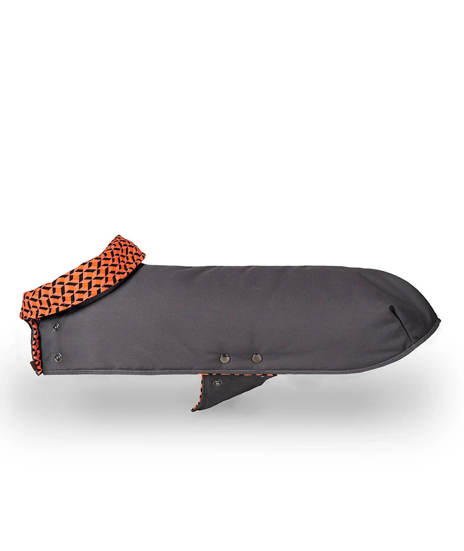 Manteau Pour Lévriers 1 Manteau Pour Lévriers