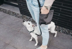 Sac à Récompenses Lupo Miacara -Hariet & Rosie banu whippet 05