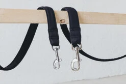 Laisse Destroyer - Yeah ! -Hariet & Rosie bbe331 8d2771ce14714c5584dfbad81b7c3b64 mv2